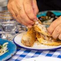 "זואי". | יח"צ