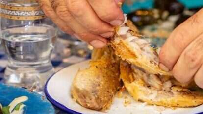 "זואי". | יח"צ