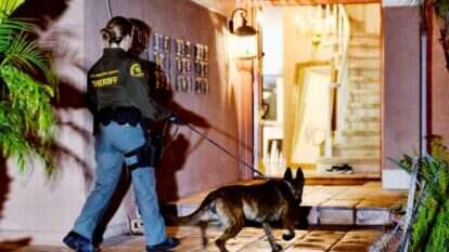 שוטרת במהלך מבצע המעצרים של קרטל הסמים. | AP שוטרת במהלך מבצע המעצרים של קרטל הסמים. | AP