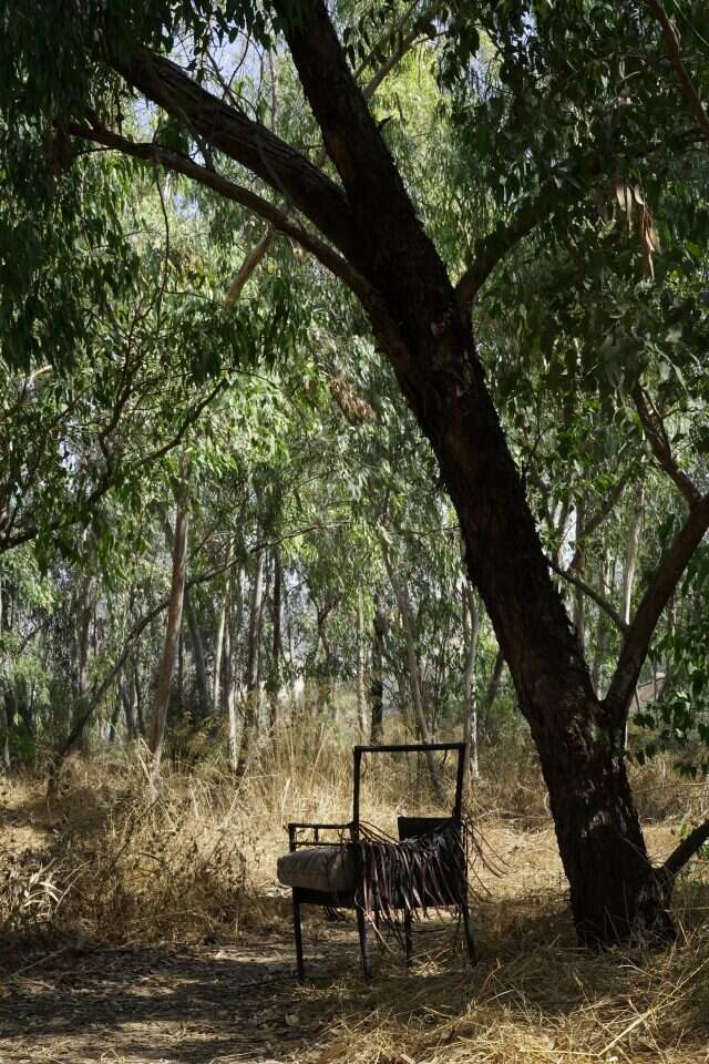 ערן לדרמן ערן לדרמן