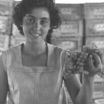 דמות נשית בת צפון אפריקה, שניחנה בתשוקה עזה לחיים, באינטליגנציה ובהומור, שמאפשרים לשרוד את התלאות. עולה חדשה ממרוקו בקיבוץ גשר, 1956. | פריץ כהן, לע"מ