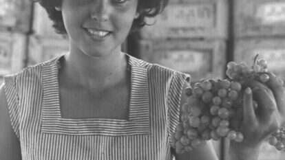 דמות נשית בת צפון אפריקה, שניחנה בתשוקה עזה לחיים, באינטליגנציה ובהומור, שמאפשרים לשרוד את התלאות. עולה חדשה ממרוקו בקיבוץ גשר, 1956. | פריץ כהן, לע"מ דמות נשית בת צפון אפריקה, שניחנה בתשוקה עזה לחיים, באינטליגנציה ובהומור, שמאפשרים לשרוד את התלאות. עולה חדשה ממרוקו בקיבוץ גשר, 1956. | פריץ כהן, לע"מ