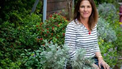 סיגל עצמון. | אריק סולטן