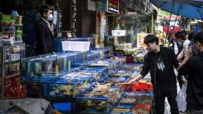 שוק מזון ימי בסין. | EPA