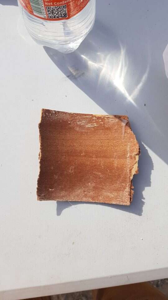 מהפריטים של זושא שנמצאו