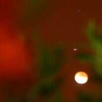 ליקוי ירח, 2004. | מרים צחי