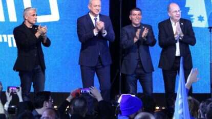 ראשי כחול לבן בימים אופטימיים יותר. | קוקו ראשי כחול לבן בימים אופטימיים יותר. | קוקו