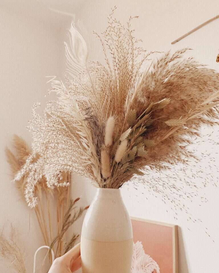 פרחים יבשים