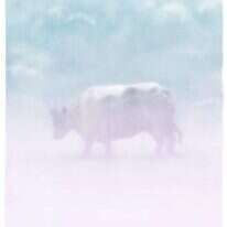 איור: מנחם הלברשטט