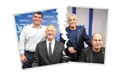 ראשי כחול לבן בימים יפים יותר. | פלאש 90, שאטרסטוק