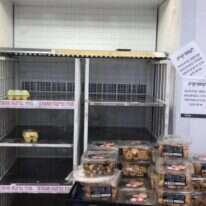 הפיקוח יוצר מחסור. מדפי ביצים ריקים ברשתות השיווק. | ישי הולנדר