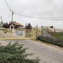 יצהר. | שריה דיאמנט