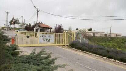 יצהר. | שריה דיאמנט