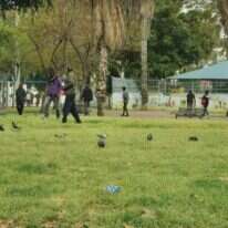 התקהלויות אסורות בגינת לוינסקי ללא הגנה. | גלעד הלחמי