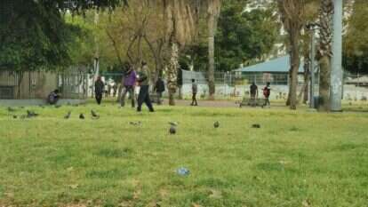 התקהלויות אסורות בגינת לוינסקי ללא הגנה. | גלעד הלחמי