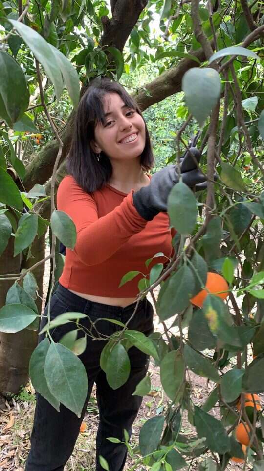 חניכת מכינה מתנדבת בחלקאות