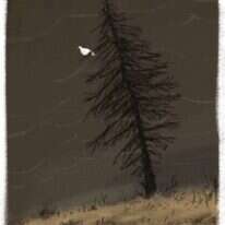 איור: מנחם הלברשטט איור: מנחם הלברשטט