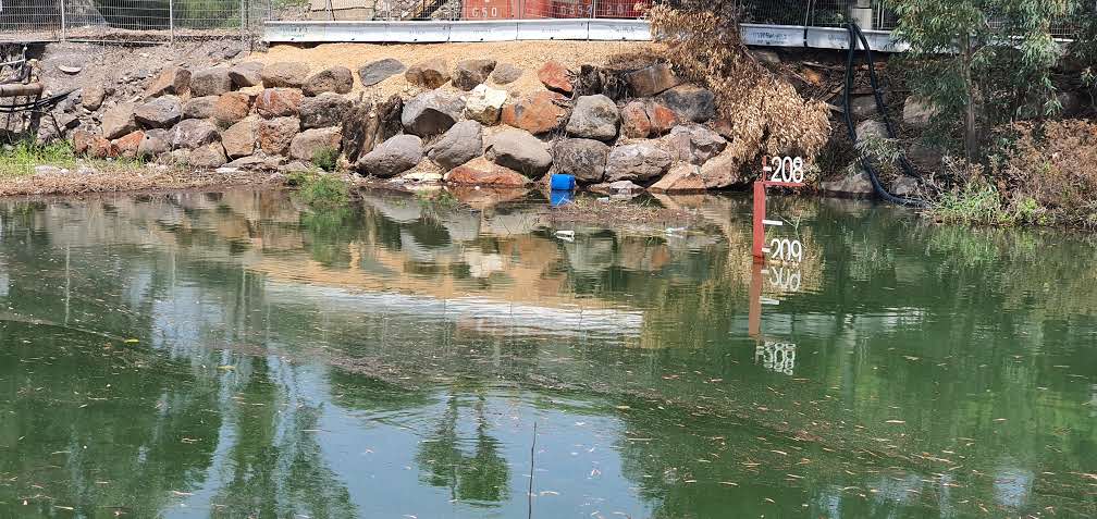 הכנרת. | יאיר קראוס