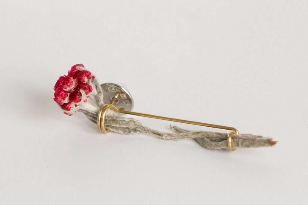 סיכת דם המכבים: | אפרת כהן סיכת דם המכבים: | אפרת כהן