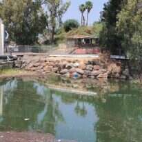 סכר דגניה, בסוף השבוע. | יאיר קראוס