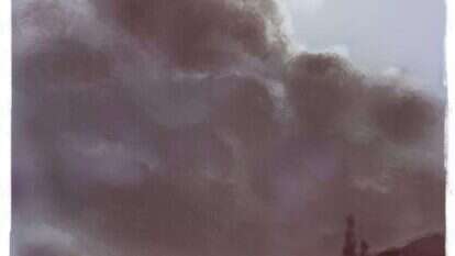 איור: מנחם הלברשטט