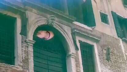 מדוזות בתעלות הצלולות. | איי.אף.פי