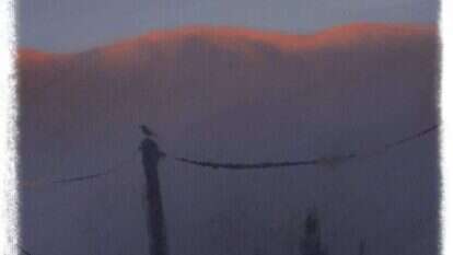 איור: מנחם הלברשטט איור: מנחם הלברשטט