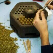 צריכה עצמית לא תיחשב עבירה פלילית. קנאביס. | אריק סולטן