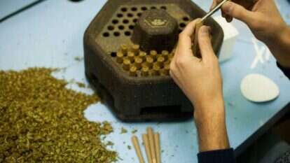 צריכה עצמית לא תיחשב עבירה פלילית. קנאביס. | אריק סולטן