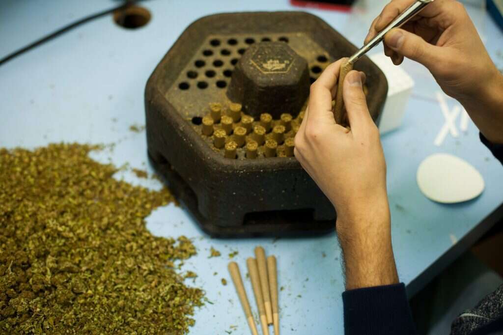 צריכה עצמית לא תיחשב עבירה פלילית. קנאביס. | אריק סולטן