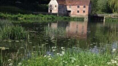 הטחנה שקמה לתחייה. | אימוג'ין ביטנר