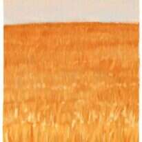 איור: מנחם הלברשטט איור: מנחם הלברשטט