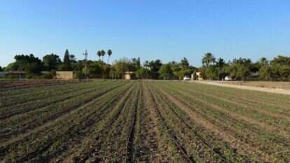 שיבת האיש אל משפחתו ואל אחוזתו מכוננת את שמחת האדם בברכה האלוהית השייכת רק לו. שדה אליהו, 2016. | גיל אליהו, ג'יני