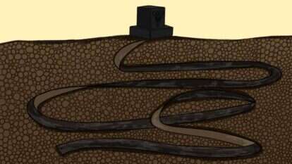 איור: שרון ארדיטי