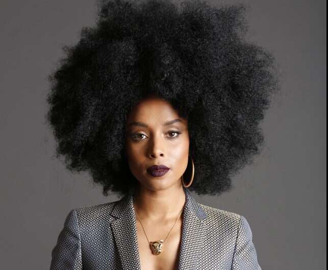 אתר רדא. | שרבן לופו אתר רדא. | שרבן לופו