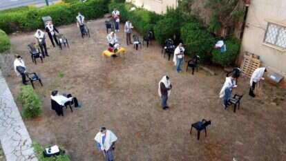 תפילה במניין בשטח ציבורי. בנתניה. | AFP תפילה במניין בשטח ציבורי. בנתניה. | AFP