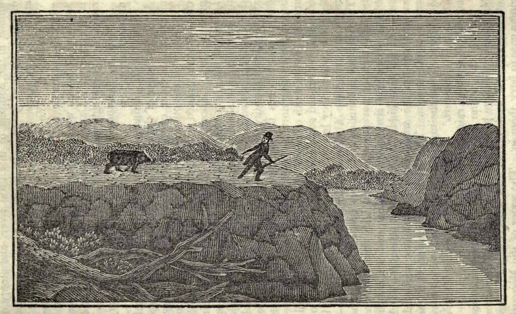 המיזורי, הגריזלי וביניהם קלארק. גילוי הדוב המפחיד הונצח בהדפס. | שאטרסטוק