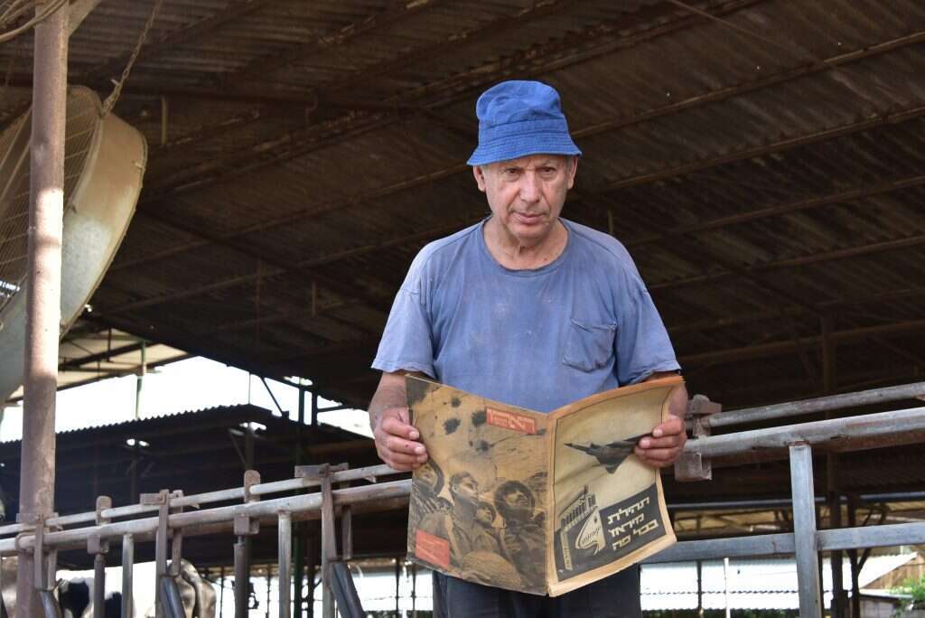 חיים כהן. | דיקלה שחף