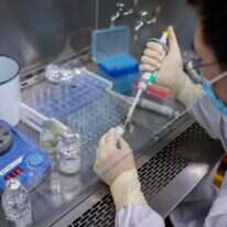 עבודה על חיסון ניסיוני לקורונה. | AFP