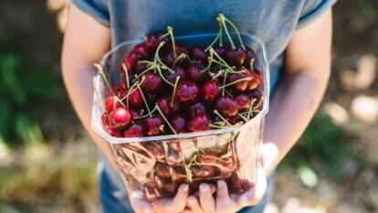 בראשית בגולן. | עדי פרץ
