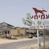 "ראינו איך הערכת הדרג הצבאי משתנה מקצה לקצה". הכניסה ליישוב עמיחי. | שריה דיאמנט