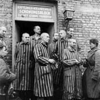 חיילי הצבא האדום עם אסירי אושוויץ, 1945. | גטי אימג'ס