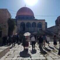 מבקרים יהודים בהר הבית. | סטודנטים למען הר הבית