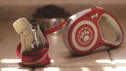 איור: יבגני זלטופולסקי איור: יבגני זלטופולסקי