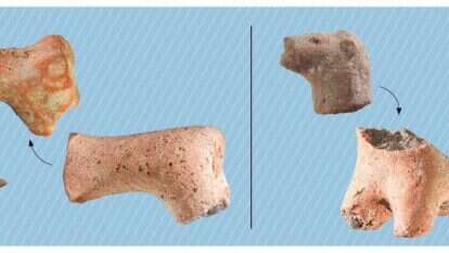 שברי צלמיות סוסים, אריה וציפור שנמצאו בעפר הר הבית. | מיזם סינון עפר הר הבית