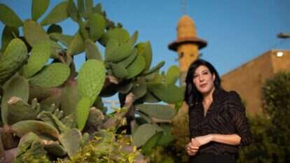 שמרית מאיר. | אריק סולטן