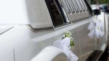 אילוסטרציה. | שאטרסטוק אילוסטרציה. | שאטרסטוק