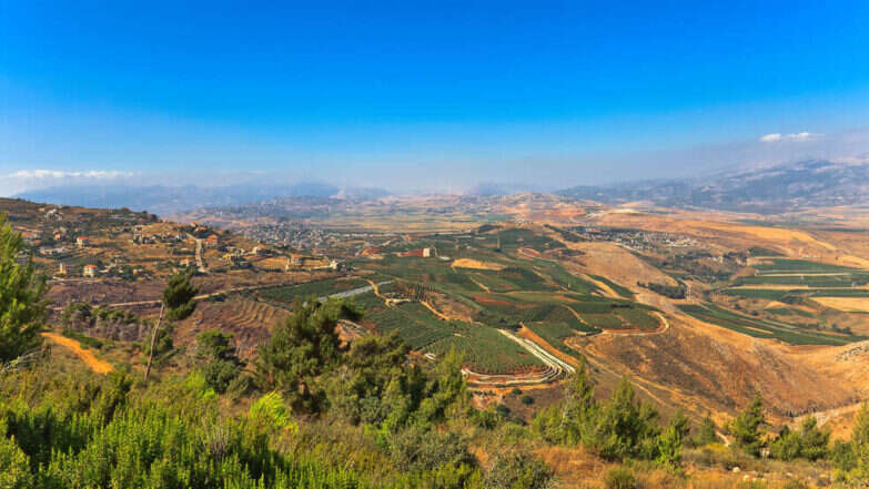 ארץ ישראל. | שאטרסטוק