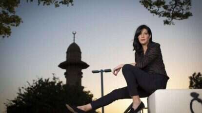 שמרית מאיר. | אריק סולטן