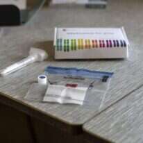 ערכת בדיקת DNA של 23andMe . | קייס קליפורד, בלומברג